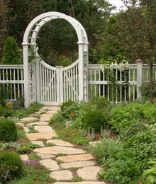 featured_image