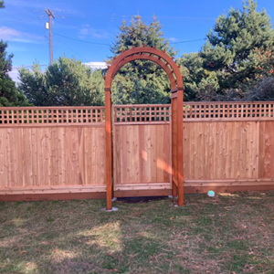 fencing-1