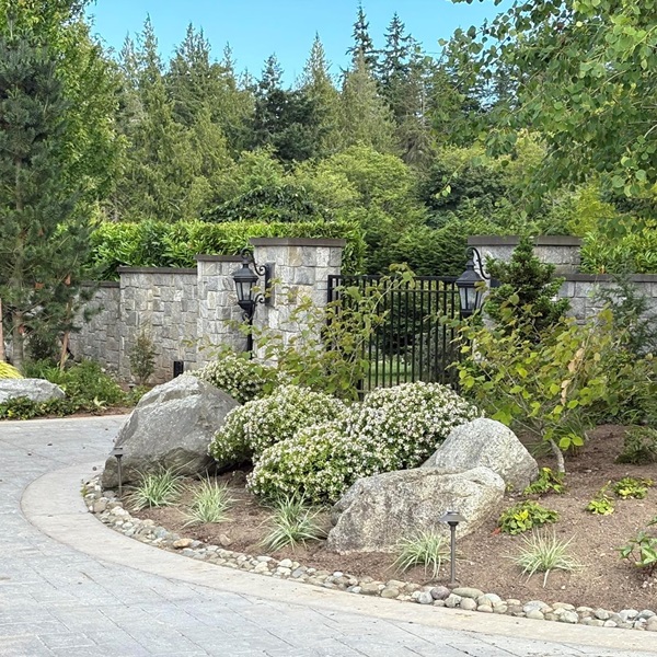 IMG-1350