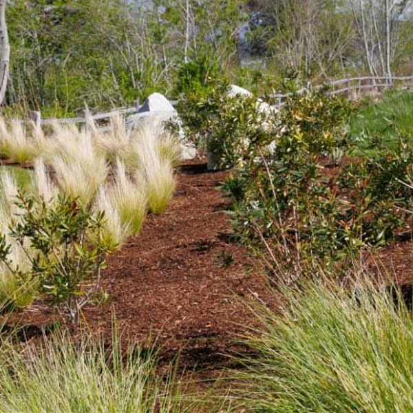 landscaping-03