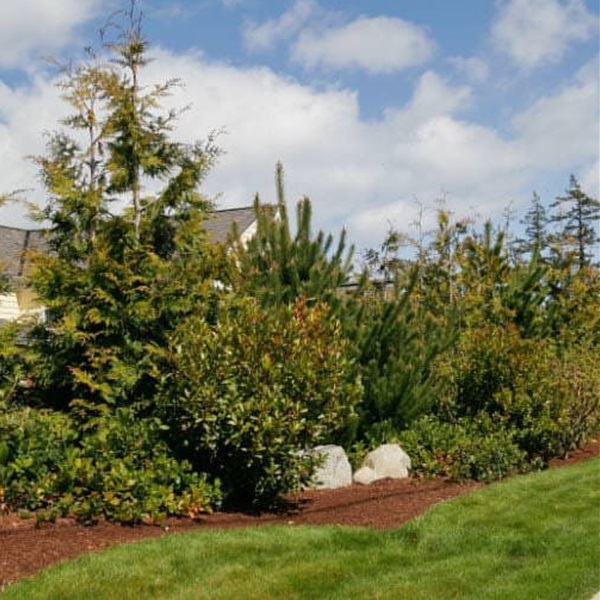 landscaping-08