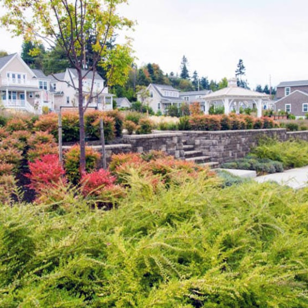 landscaping-14