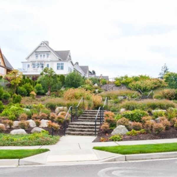 landscaping-15