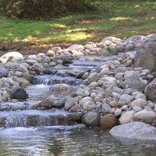 landscaping-22