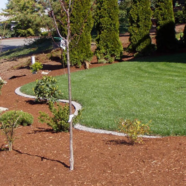 landscaping-34